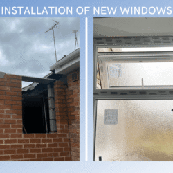 Hawthorne Elm Tree - Extension window