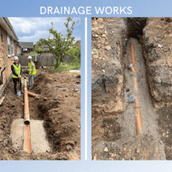 Hawthorne Elm Tree - Extension Drainage
