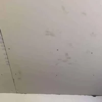 New plasterboard ceilings are installed in all rooms
