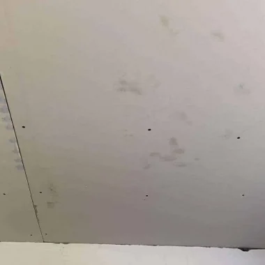 New plasterboard ceilings are installed in all rooms