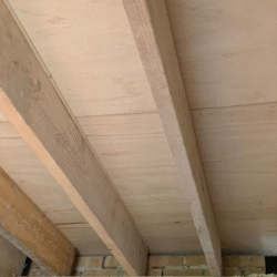 Elm 06(6)_2