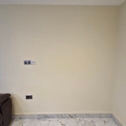 Residential Extension and Full Renovation21