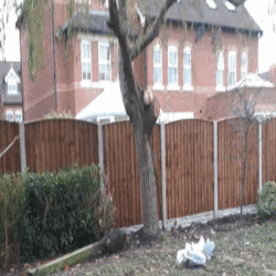 Lartonwood, Newton, External Refurbishment3