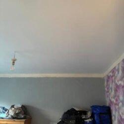 Ceiling_Insulation_5_5