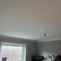 Ceiling_Insulation_6_6