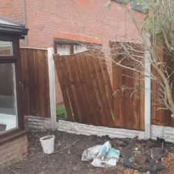 ChatGPT Image 9 груд. 2025 р., 15_48_21