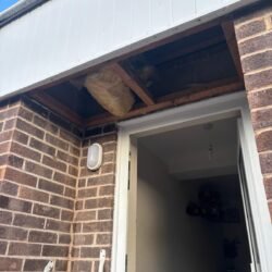 WhatsApp Image 2025-12-02 at 10.19.49_18db5282