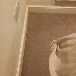 4af29ee0c469459bb655f54d5fb439b2