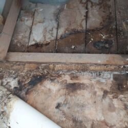churchill_road_bathroom_1