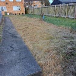 whatsapp_image_20250228_at_193517_23591646